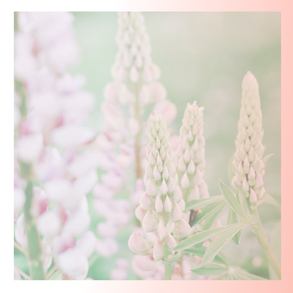 La semana del 27 de agosto al 2 de septiembre: ayudas&nbsp;(2017)