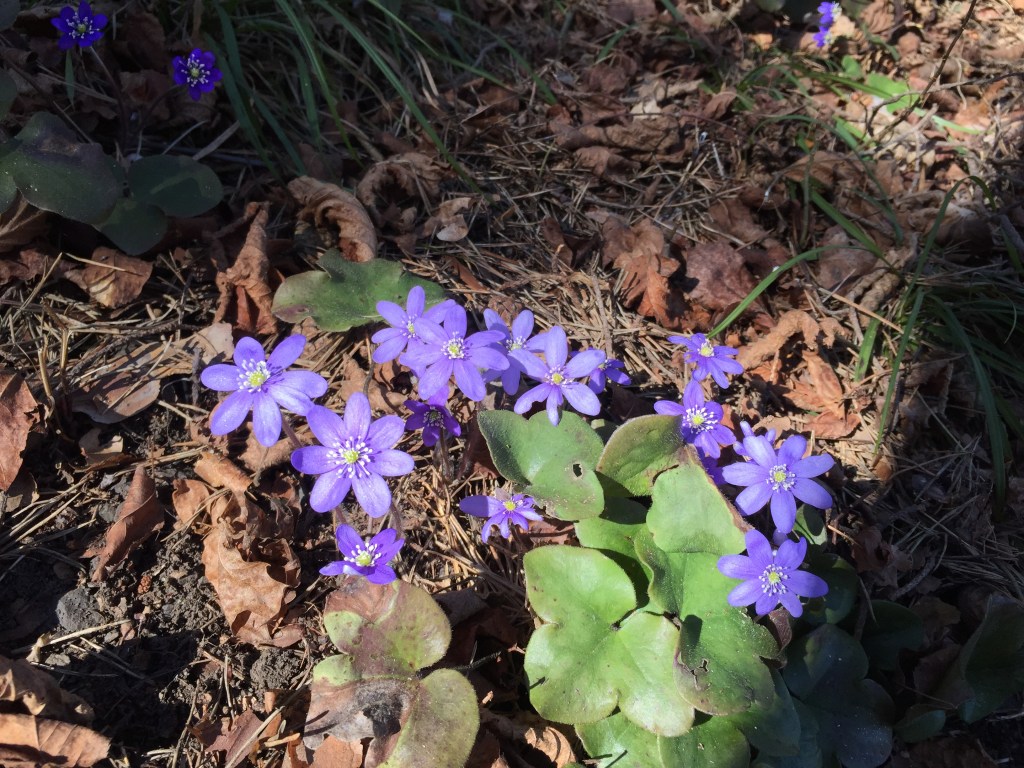 Una opción barata para hacer cambios en nuestra&nbsp;vida