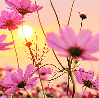 ¿Qué podemos esperar de&nbsp;2017?