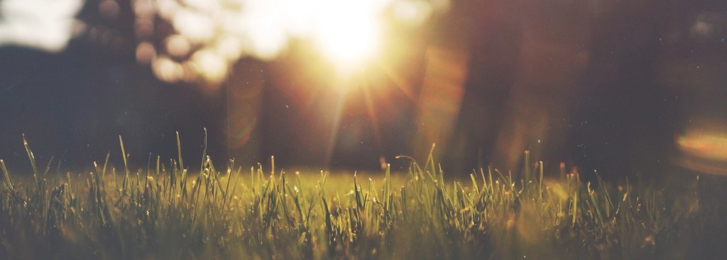 Astrología Eleccional