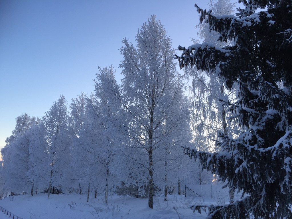 La semana del 18/12 al 25/12 de&nbsp;2016
