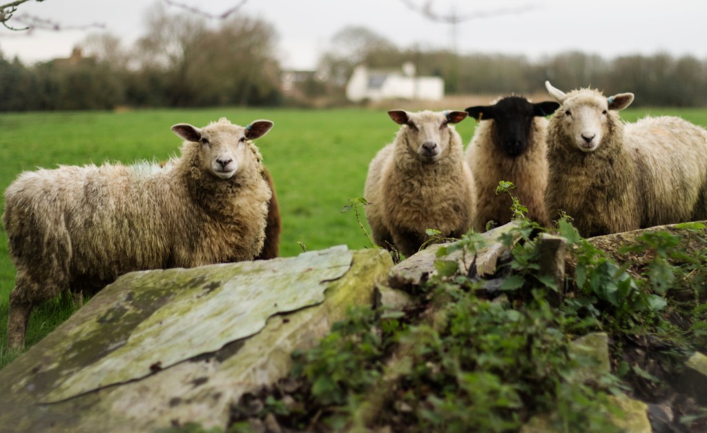 La alimentación y conocerse (sensibilidad al&nbsp;gluten)