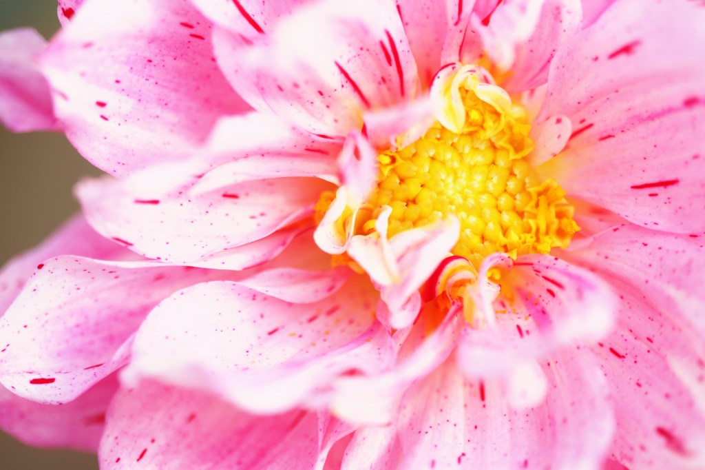 Mejores resultados asegurados